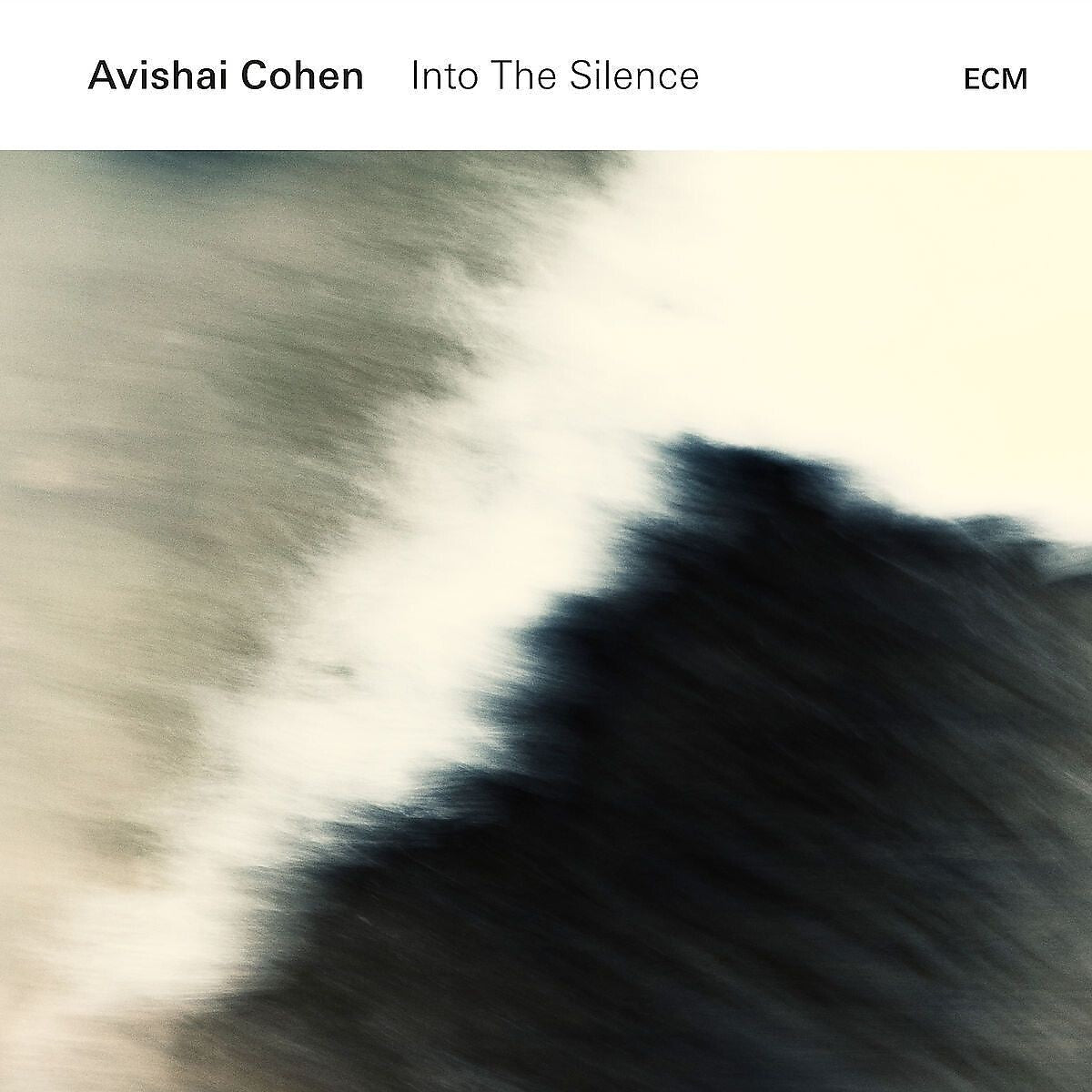 Avishai Cohen Into The Silence Vinyl 379186