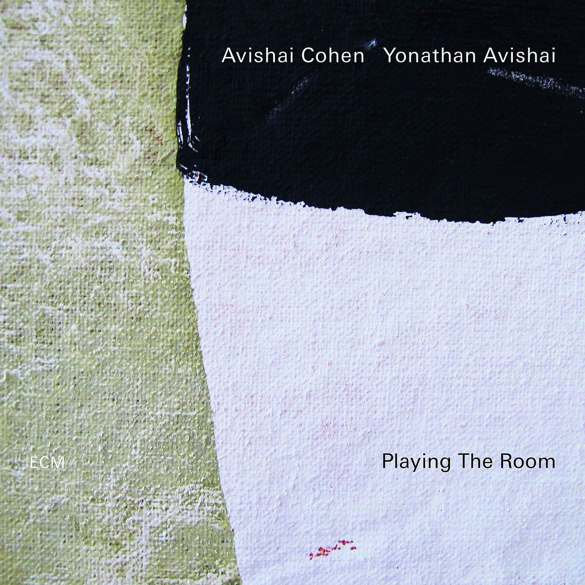 Avishai Cohen Playing The Room Vinyl 381088
