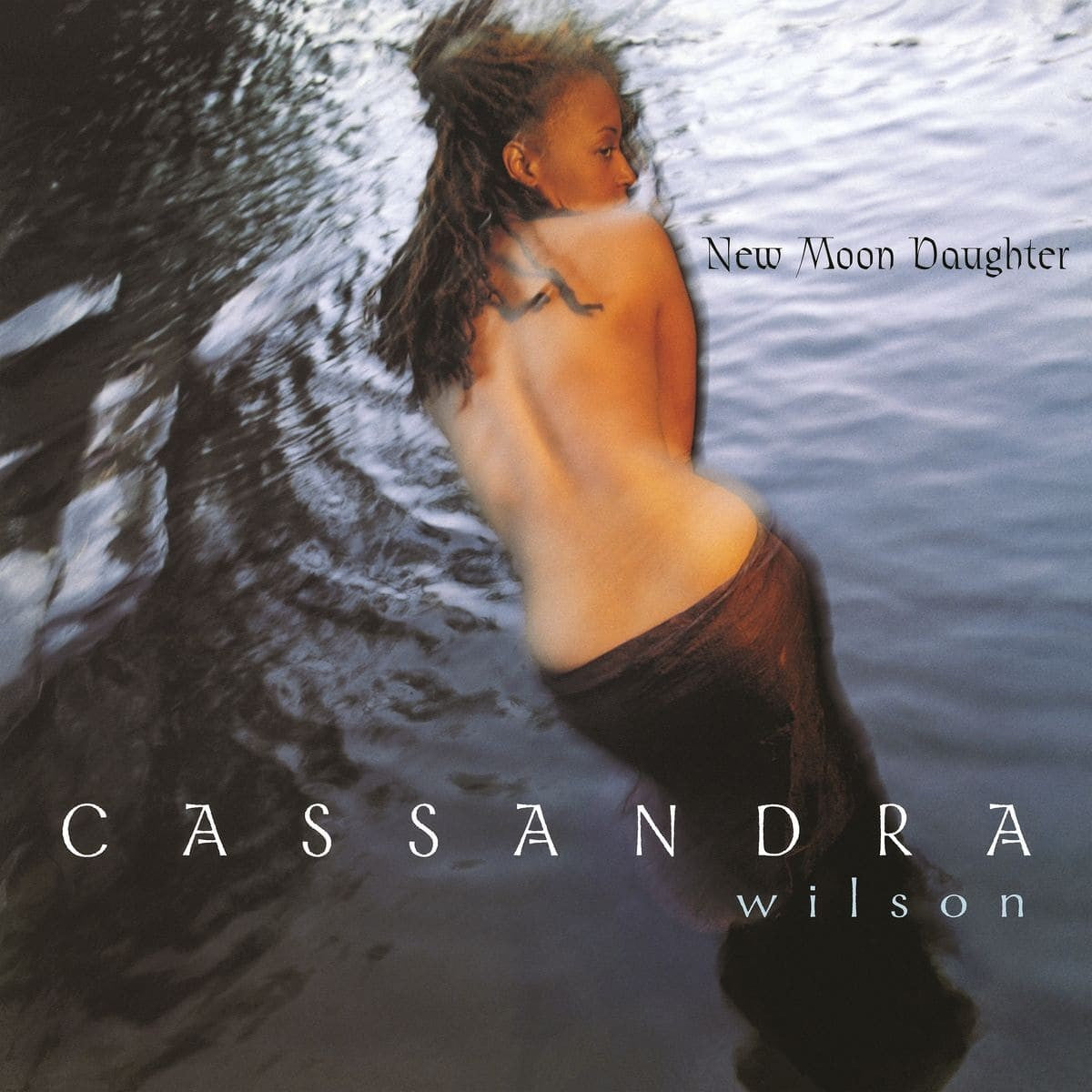 Cassandra Wilson New Moon Daughter 2LP 406887