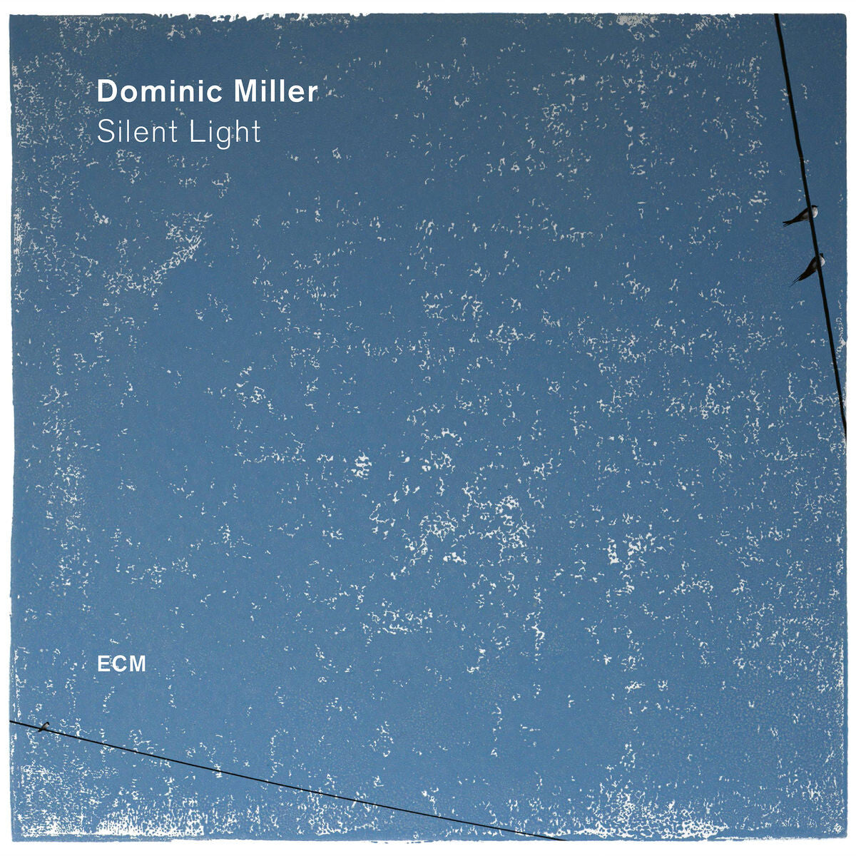 Dominic Miller Silent Light Vinyl 379993