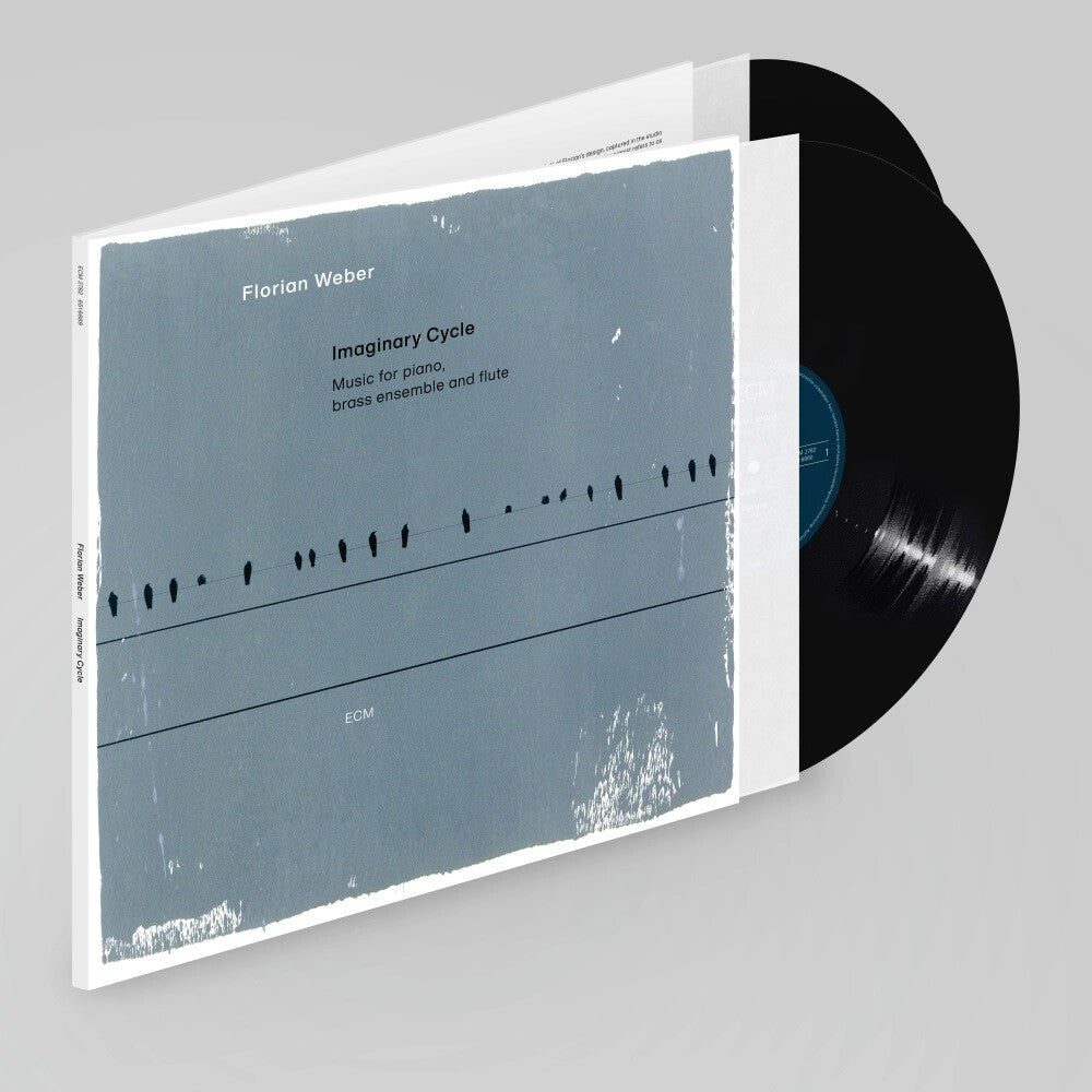 Florian Weber Imaginary Cycle LP 371177