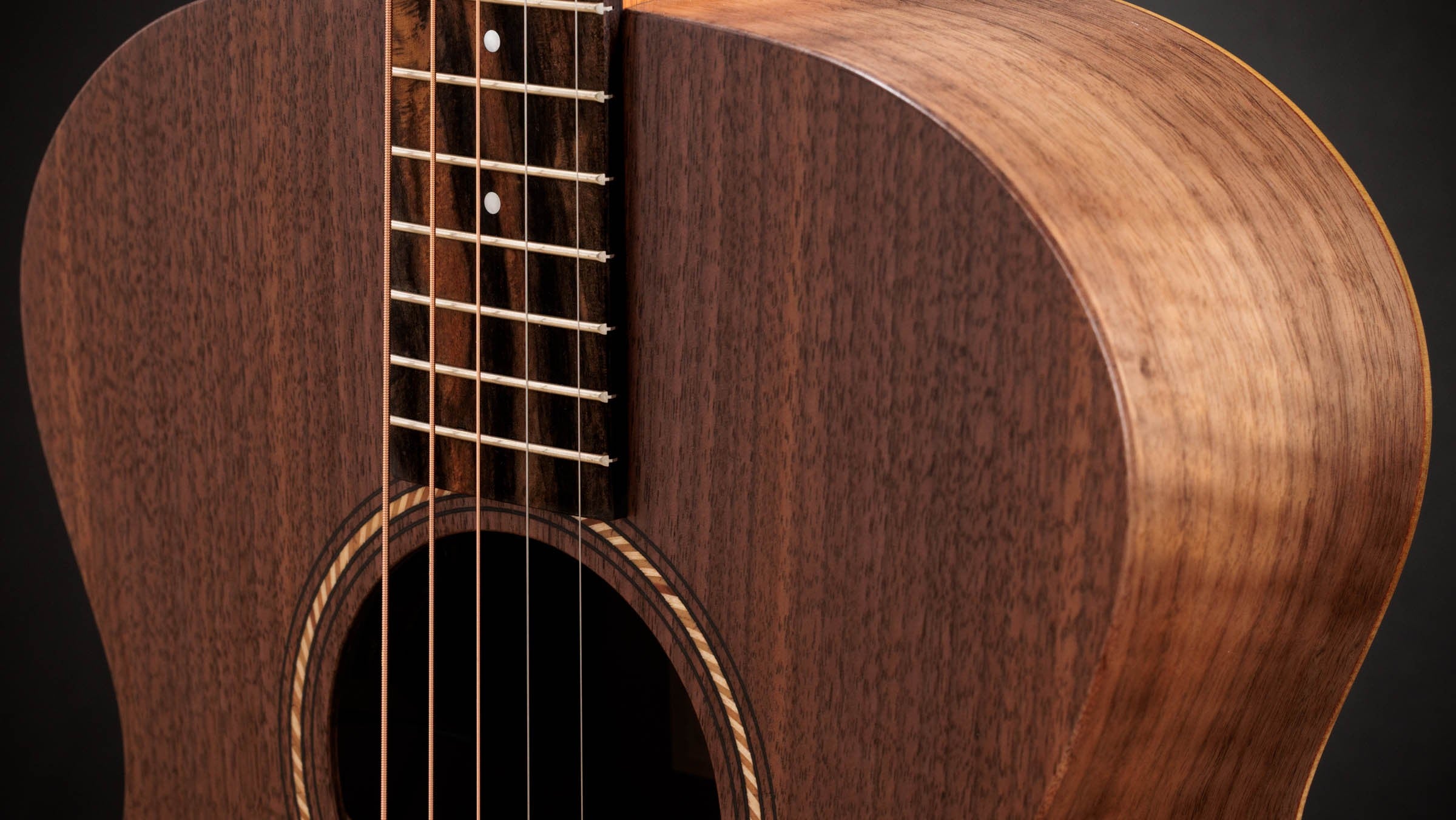 Jacob Collier Jacob Collier Academy 22e 5-String Gitarre 426118