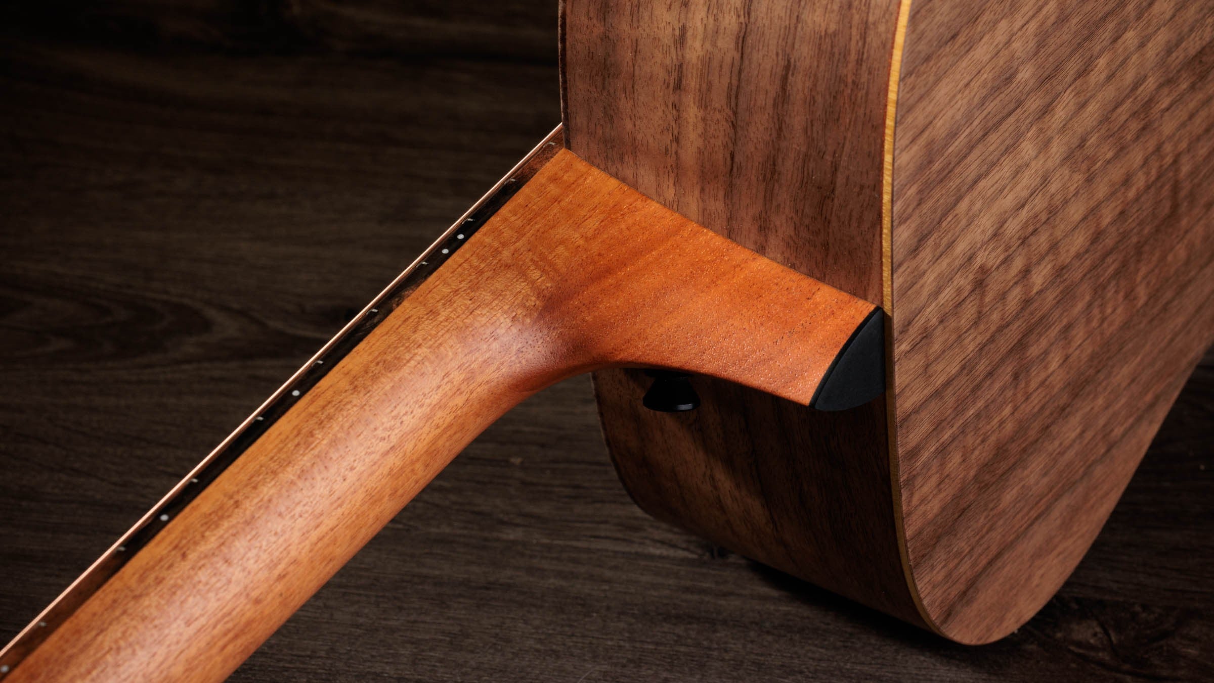 Jacob Collier Jacob Collier Academy 22e 5-String Gitarre 426128