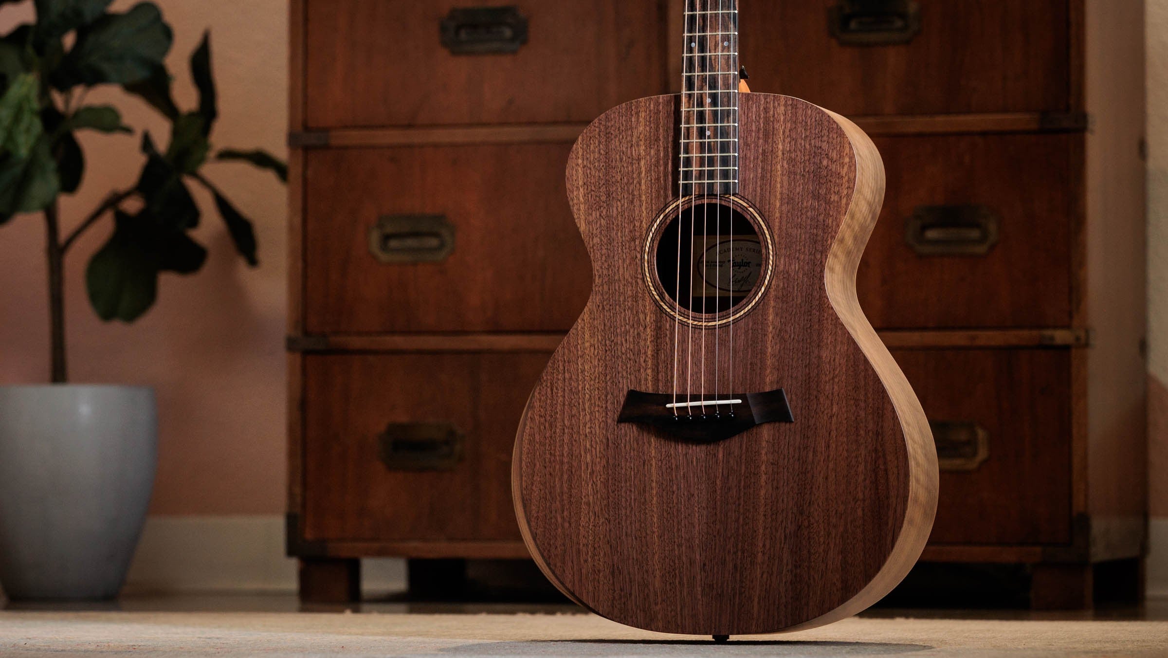 Jacob Collier Jacob Collier Academy 22e 5-String Gitarre 426132