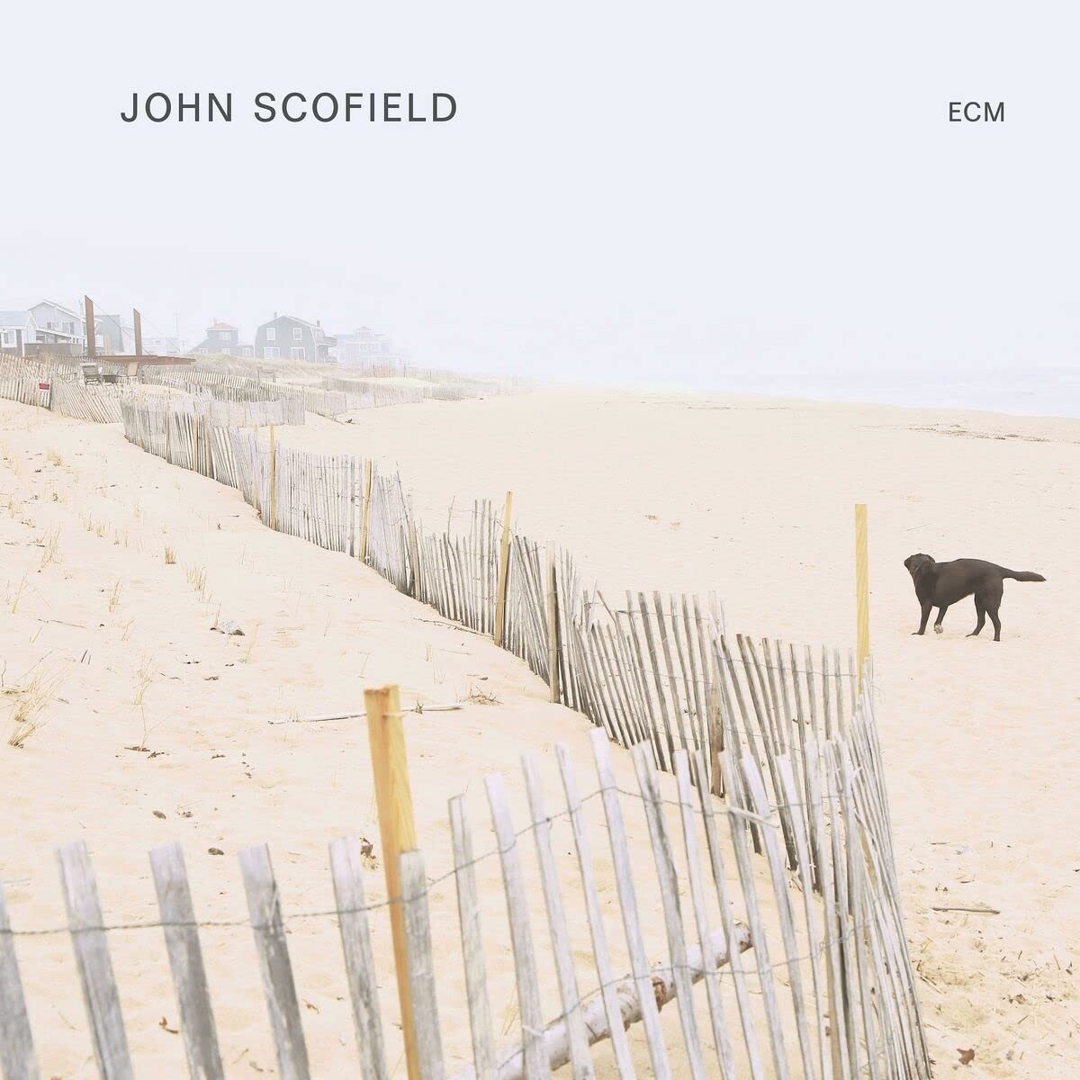 John Scofield John Scofield Vinyl 247018