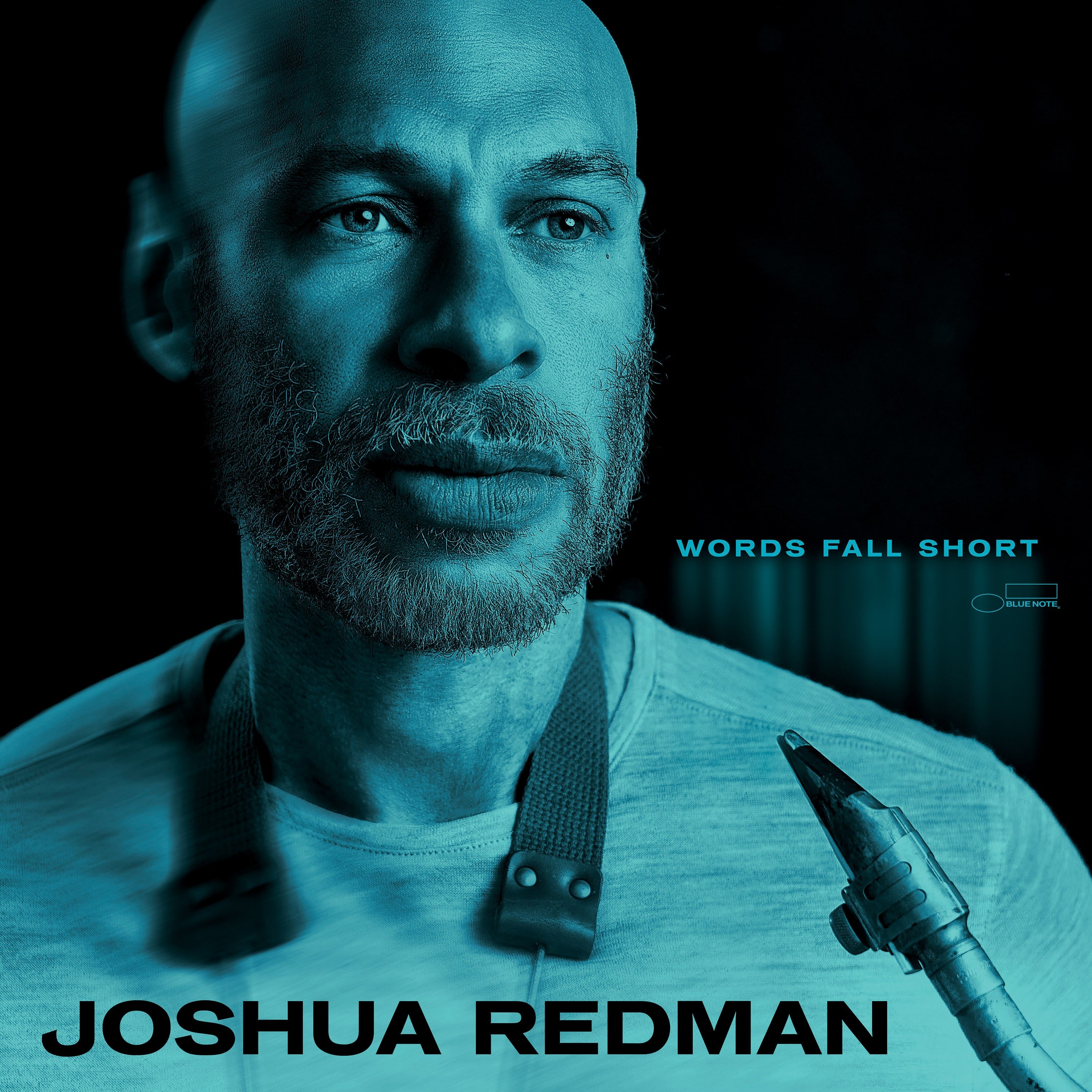 Joshua Redman Words Fall Short LP + Signed Art Card 408927
