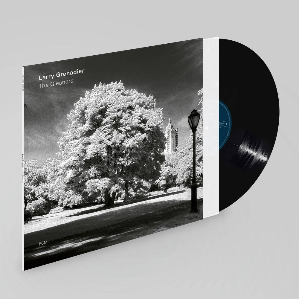 Larry Grenadier The Gleaners Vinyl 433137
