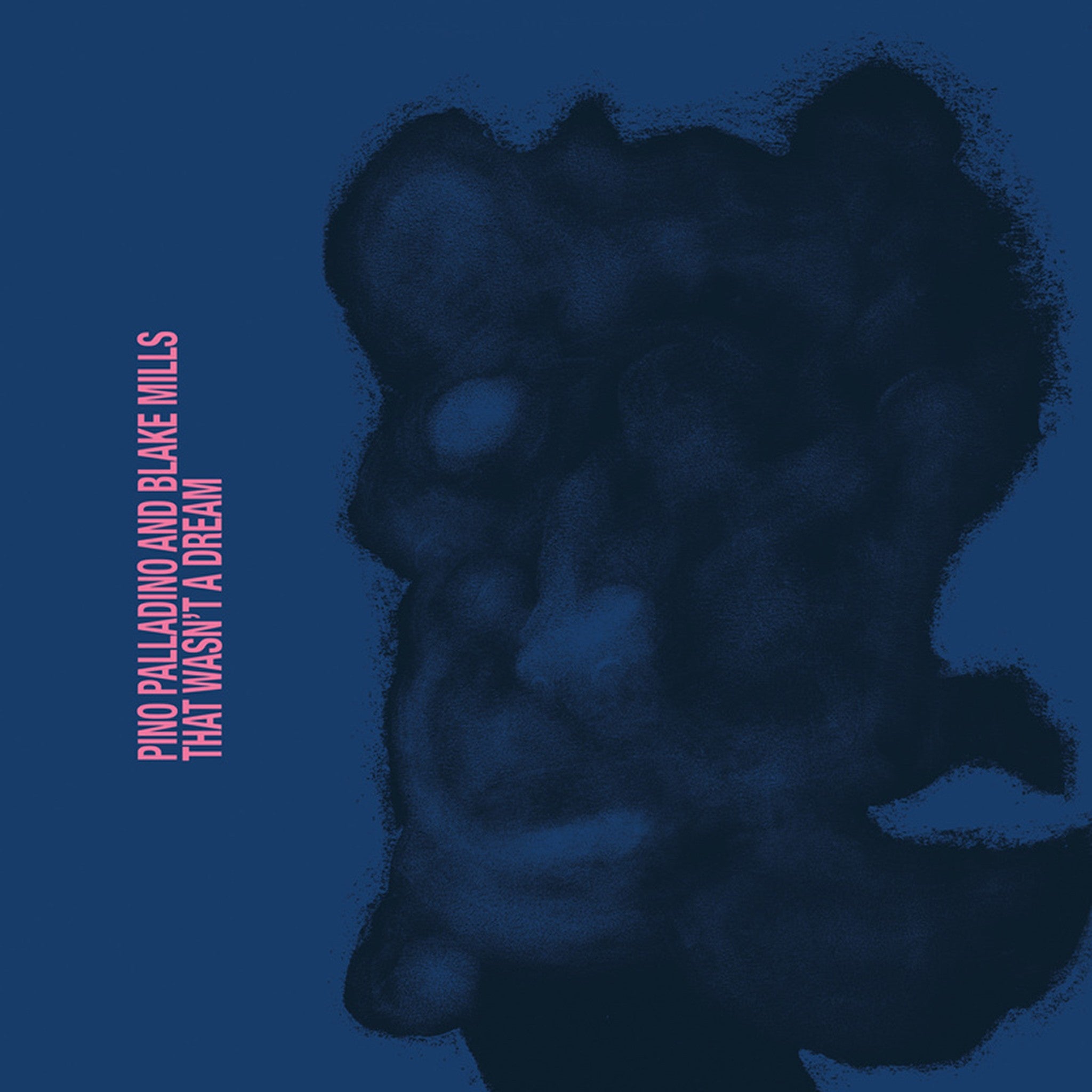 Pino Palladino & Blake Mills That Wasn't A Dream 1LP 414890